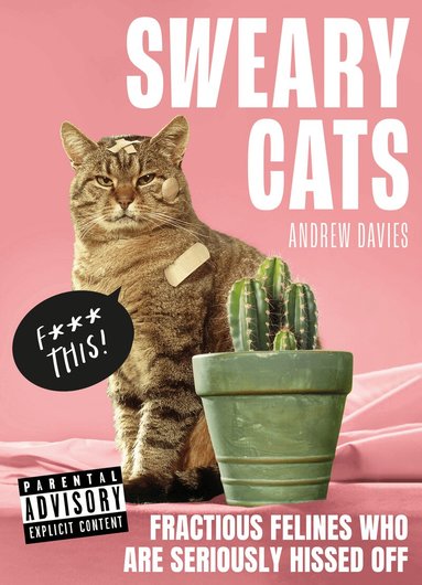 Andrew Davies - Sweary Cats, Inbunden