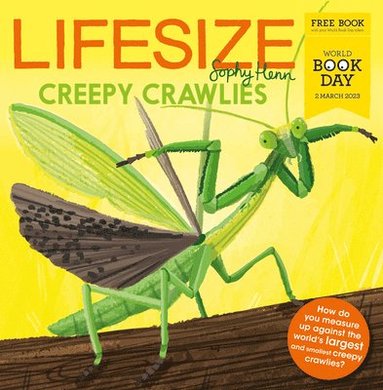 bokomslag Lifesize Creepy Crawlies