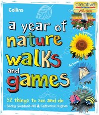 bokomslag A Year of Nature Walks and Games