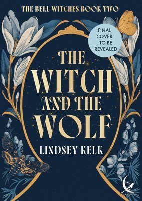bokomslag Witch and the Wolf