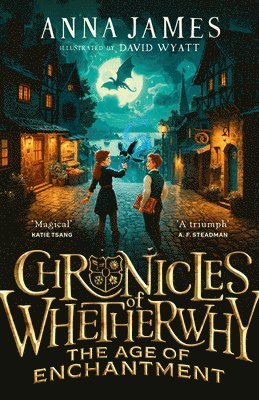 Anna James - Chronicles of Whetherwhy: The Age of Enchantment, Inbunden