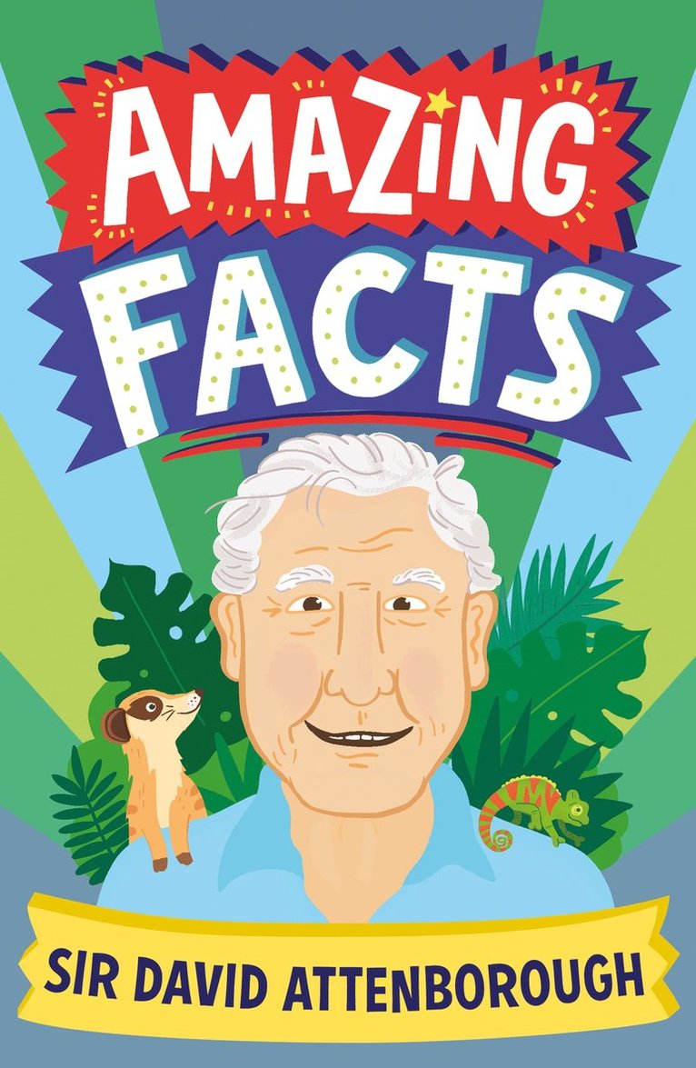 Hannah Wilson - Amazing Facts Sir David Attenborough, Häftad