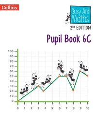 bokomslag Pupil Book 6C
