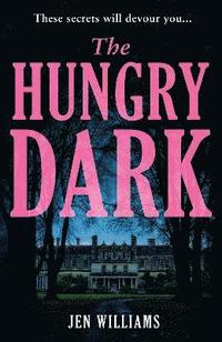 bokomslag The Hungry Dark