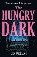 bokomslag Hungry Dark