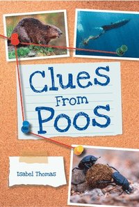 bokomslag Clues from Poos
