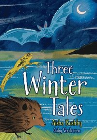 bokomslag Three Winter Tales
