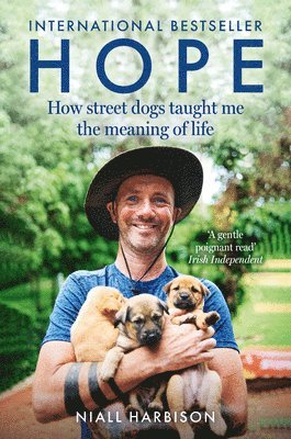 bokomslag Hope - How Street Dogs Taught Me the Meaning of Life