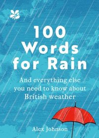 bokomslag 100 Words for Rain