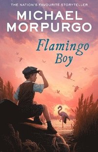 bokomslag Flamingo Boy