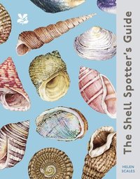 bokomslag The Shell Spotter's Guide (National Trust)