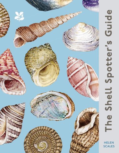 Helen Scales - Shell Spotter’s Guide, Inbunden