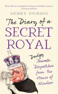 bokomslag The Diary of a Secret Royal