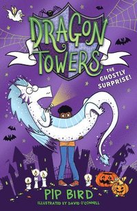 bokomslag Dragon Towers: The Ghostly Surprise