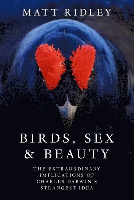 bokomslag Birds, Sex and Beauty