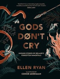 bokomslag Gods Don't Cry