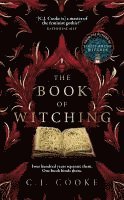 bokomslag Book Of Witching