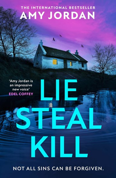 Amy Jordan - Lie Steal Kill, Inbunden