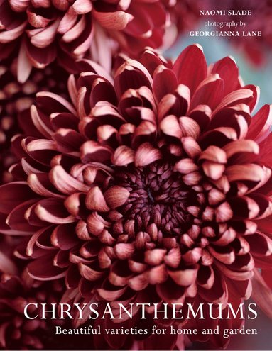 bokomslag Chrysanthemums