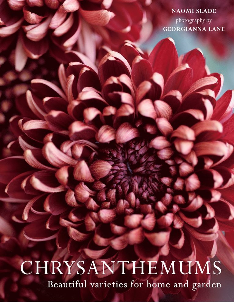 Naomi Slade, Georgianna Lane - Chrysanthemums, Inbunden