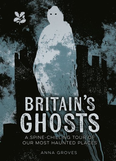 bokomslag Britains Ghosts