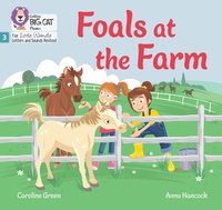 bokomslag Foals at the Farm