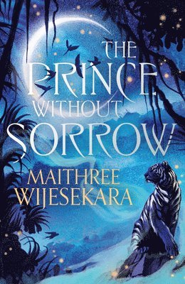 bokomslag Prince Without Sorrow