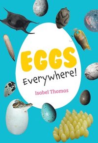 bokomslag Eggs Everywhere!