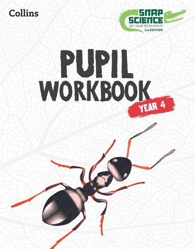 bokomslag Snap Science Pupil Workbook Year 4