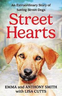 bokomslag Street Hearts