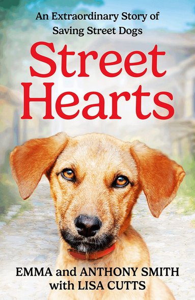 Emma Smith, Anthony Smith - Street Hearts, Häftad