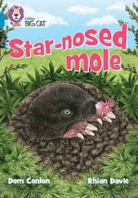 bokomslag Star-nosed Mole