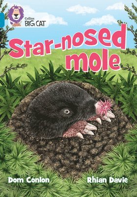 Dom Conlon - Star-nosed Mole, Häftad