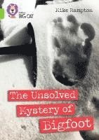 bokomslag The Unsolved Mystery of Bigfoot