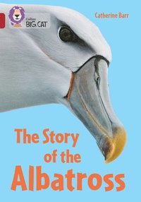 bokomslag The Story of the Albatross