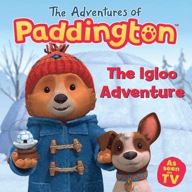 bokomslag Igloo Adventure
