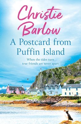 Postcard from Puffin Island