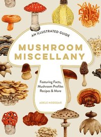 bokomslag Mushroom Miscellany