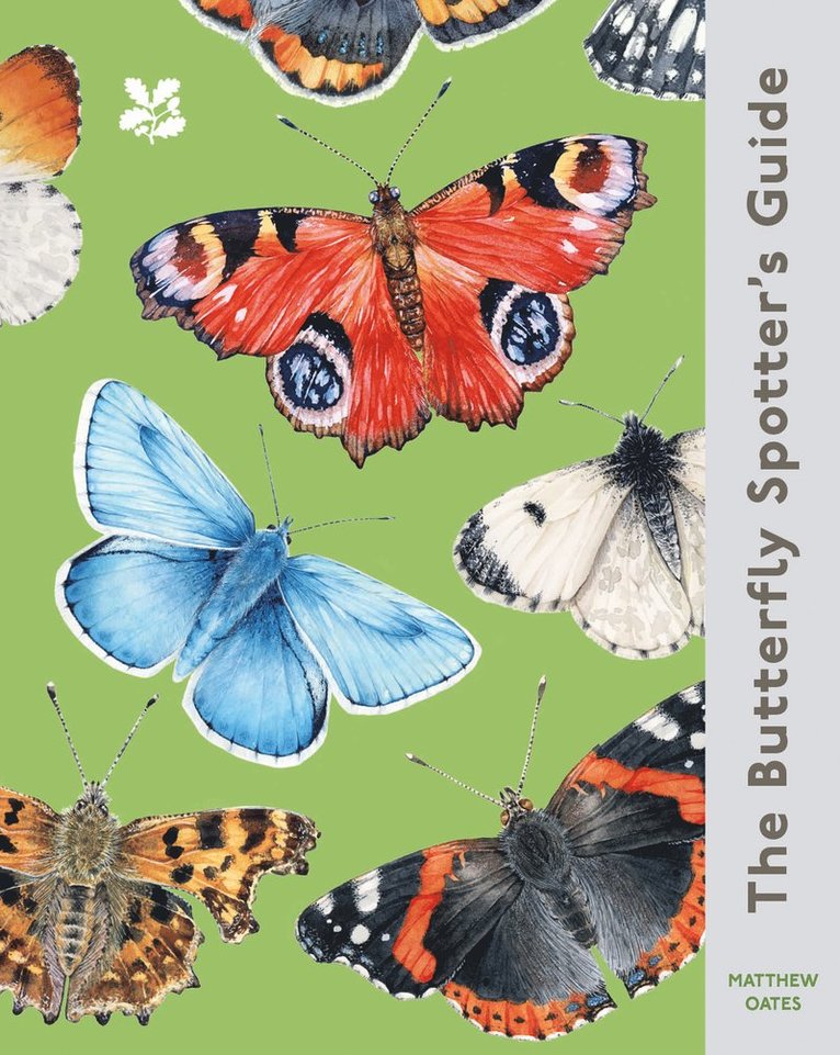 Butterfly Spotter’s Guide