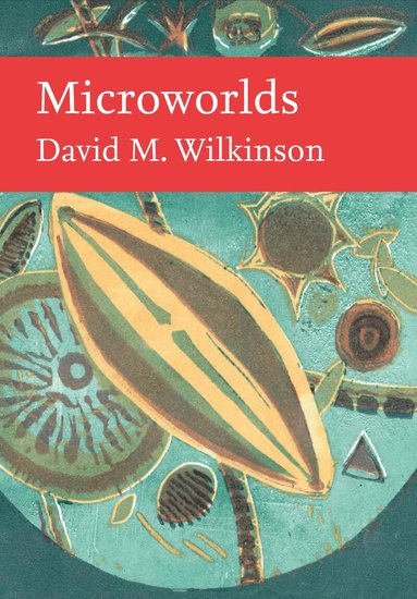 David Wilkinson - Microworlds, Inbunden