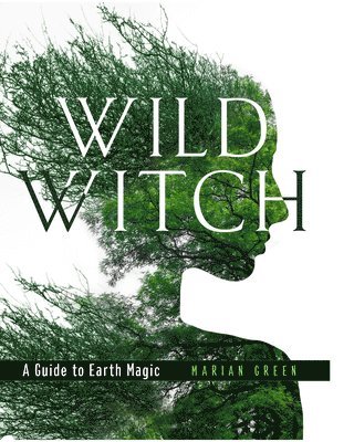Marian Green - Wild Witch, Inbunden