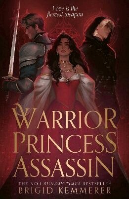 Brigid Kemmerer - Warrior Princess Assassin, Häftad