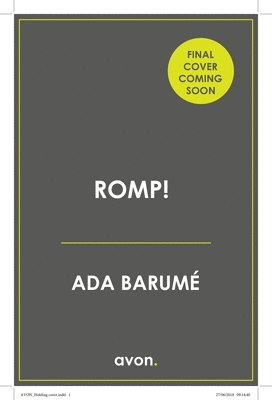 bokomslag Romp!