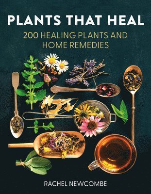 Plants That Heal 1