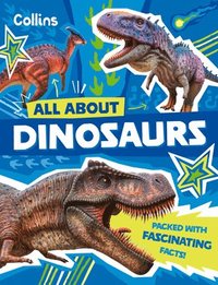 bokomslag Dinosaurs