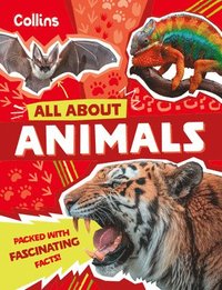 bokomslag Animals