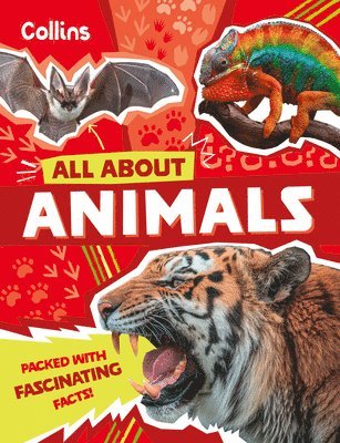 bokomslag Animals
