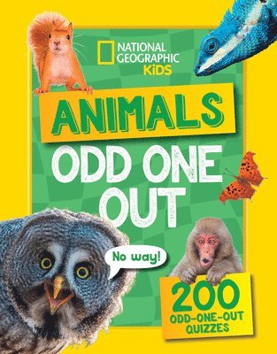 Animals Odd One Out 1