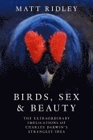 bokomslag Birds, Sex And Beauty