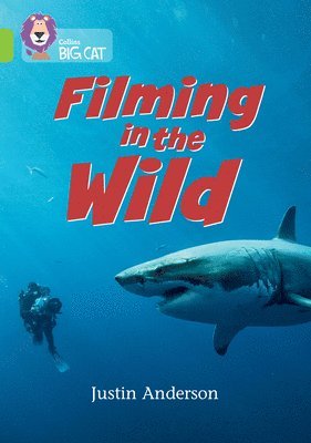 bokomslag Filming in the Wild